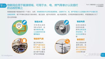 2018中國(guó)物聯(lián)網(wǎng)應(yīng)用研究報(bào)告 互聯(lián)網(wǎng)數(shù)據(jù)服務(wù)的融合與發(fā)展