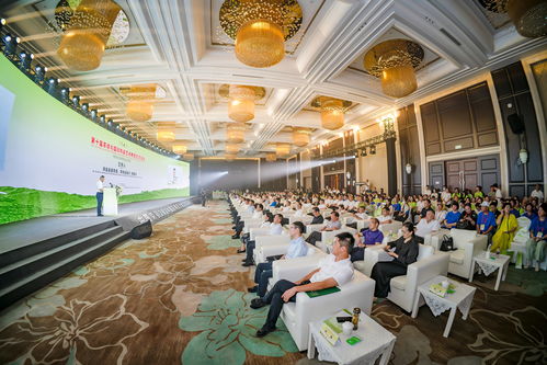 2024四川自貢榮縣國際陶茶文化藝術(shù)活動(dòng)周開幕，共促文化交流與產(chǎn)業(yè)發(fā)展