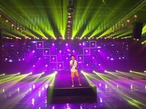 專業(yè)活動(dòng)策劃服務(wù) 商業(yè)演出、舞臺(tái)燈光與文化藝術(shù)交流