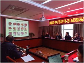 四川省農(nóng)業(yè)科學(xué)院 國家中藥材體系成都試驗(yàn)站川芎育種與栽培技術(shù)研討會(huì)成功舉行