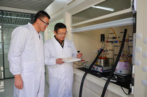 科技創(chuàng)新引領綠色化工 山東智永化工以科技服務助推化工產業(yè)發(fā)展側記